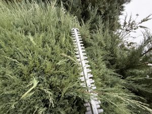 Litheli U20 U20HT00-OU110 Akku-Heckenschere beim Hecke schneiden 9