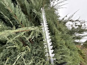 Litheli U20 U20HT00-OU110 Akku-Heckenschere beim Hecke schneiden 10