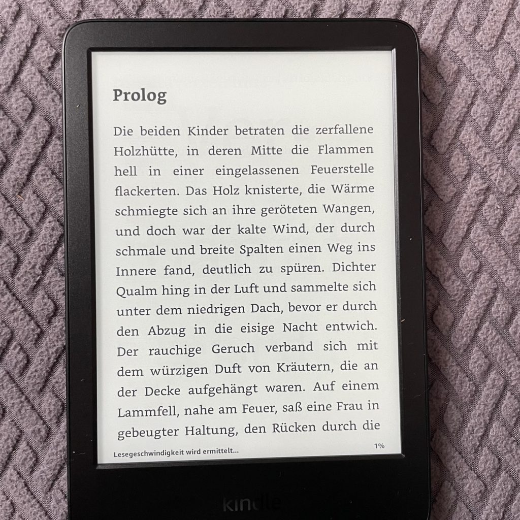 Amazon Kindle eBook-Reader Text
