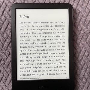 Amazon Kindle eBook-Reader Text