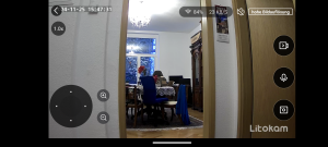App, Kameraansicht der Litokam LF P1t Überwachungskamera