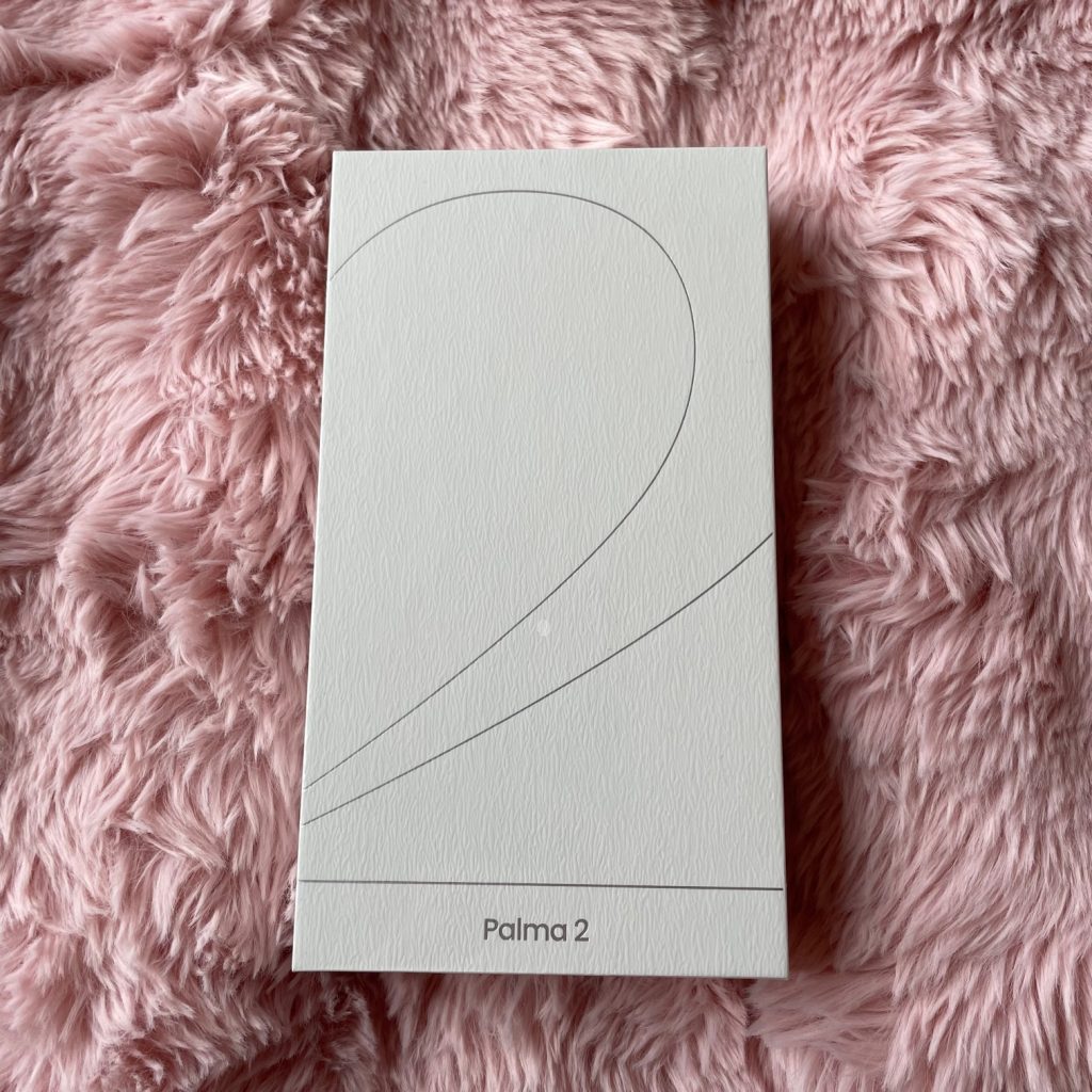 BOOX Palma 2 eBook-Reader Verpackung