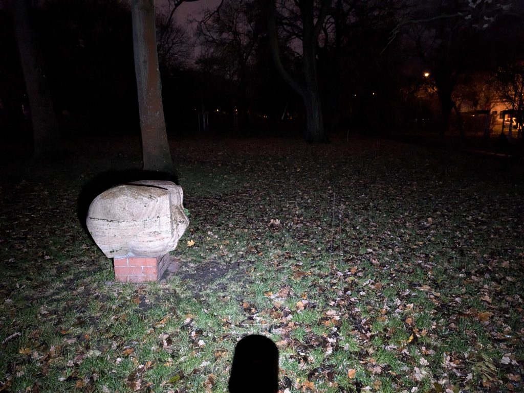 Breiter Strahl der Ledlenser P9R Core LEP Taschenlampe im Park