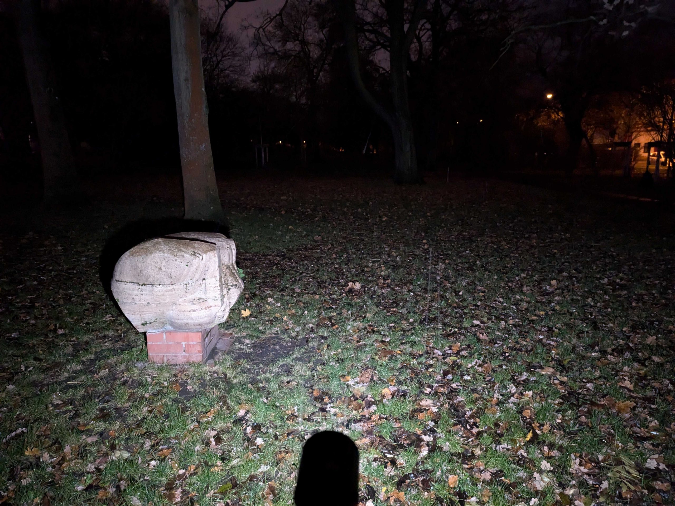 Breiter Strahl der Ledlenser P9R Core LEP Taschenlampe im Park