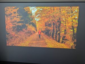 Epson EpicVision EF-22N Beamer Test