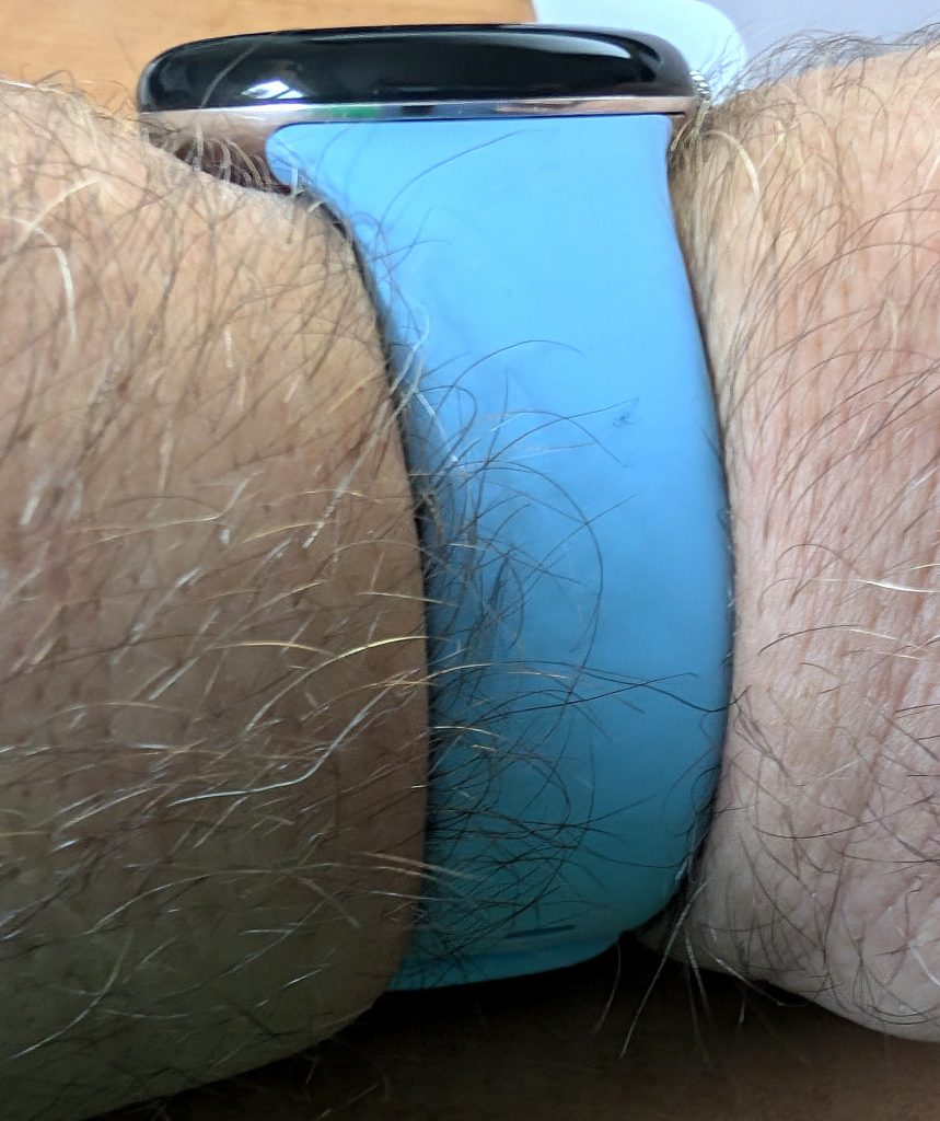Google Pixel Watch 2 Smartwatch Armband