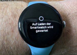 Google Pixel Watch 2 Smartwatch
