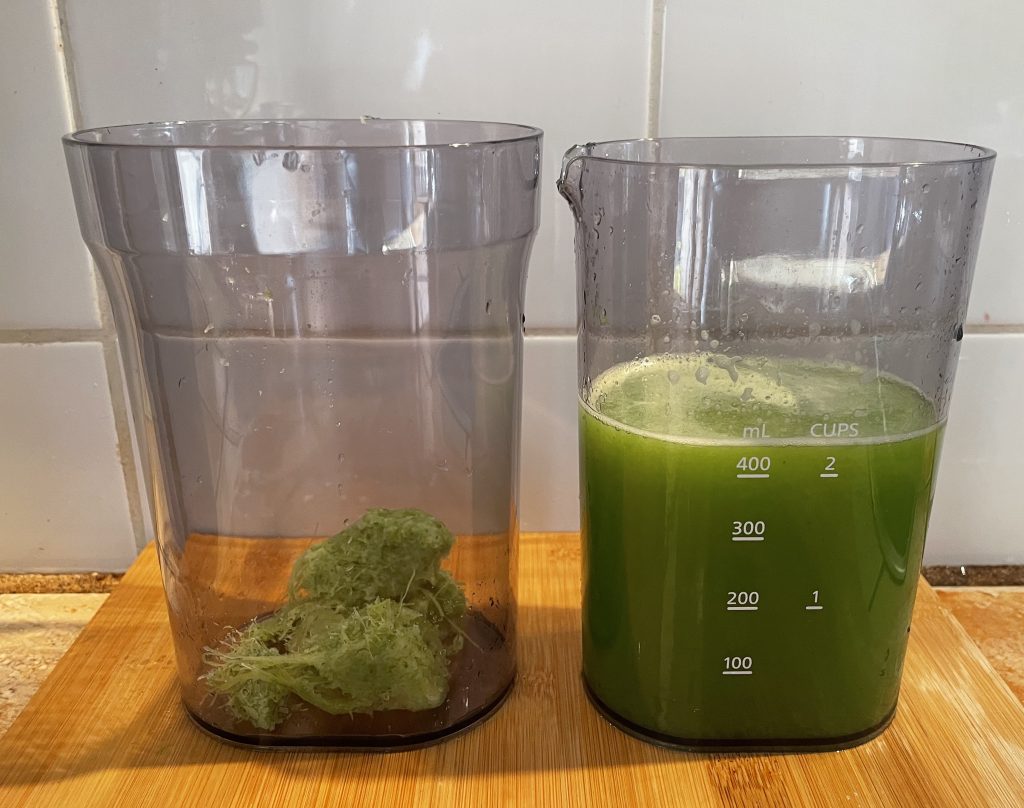 Panasonic MJ-L700KXE Slow-Juicer Endergbenis mit Stangensellerie