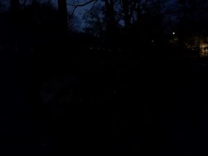 Park ohne Ledlenser P9R Core LEP Taschenlampe