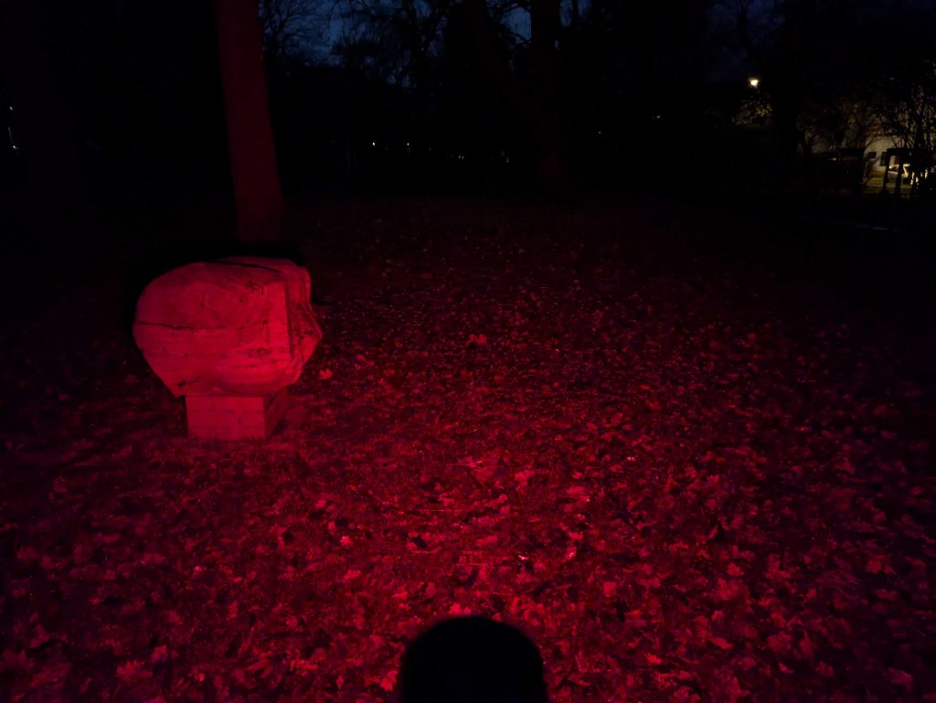 Roter Strahl der Ledlenser P9R Core LEP Taschenlampe im Park