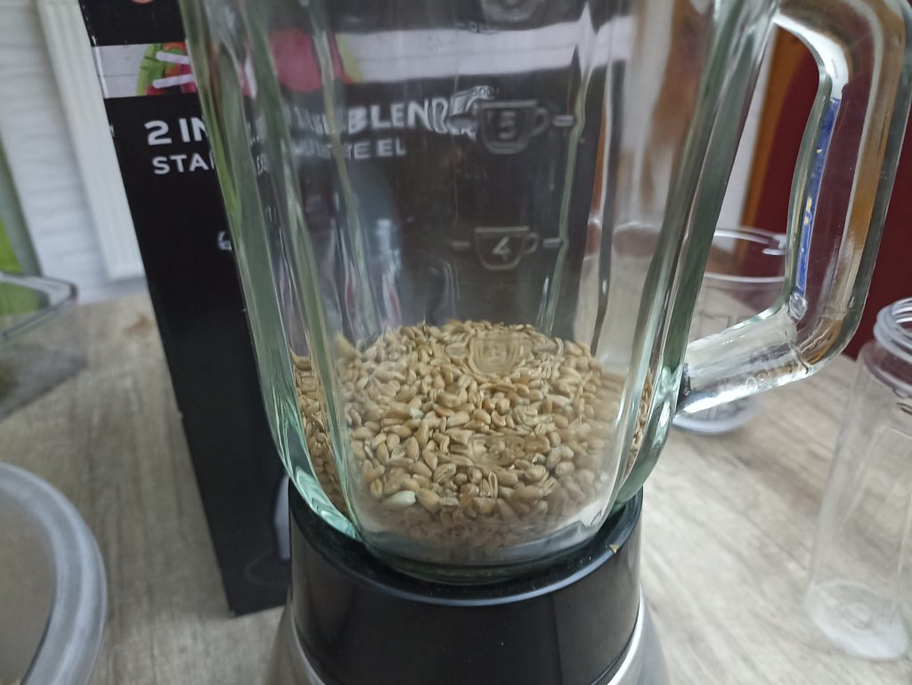Russell Hobbs 2-in-1 Standmixer, Weizenkörner im Behälter, Nahaufnahme