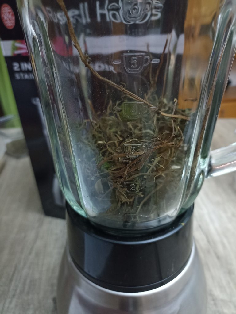 Russell Hobbs 2-in-1 Standmixer, getrocknete Brennessel im großen Mixbehälter