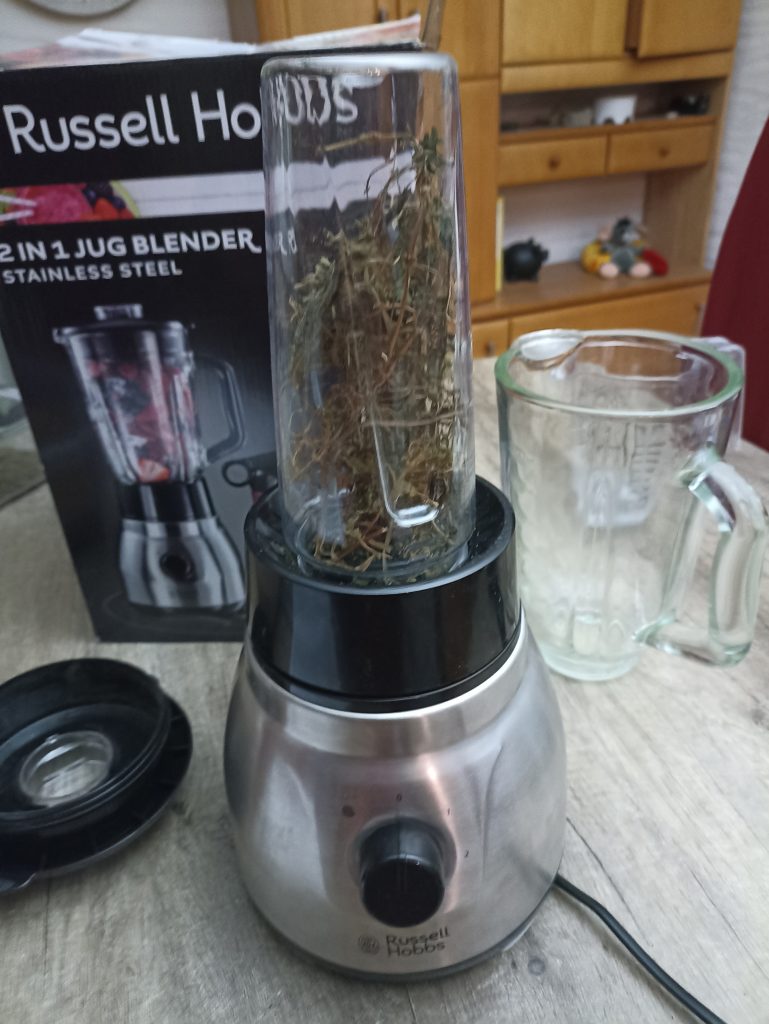 Russell Hobbs 2-in-1 Standmixer, getrocknete Brennessel im kleinen Mixbehälter