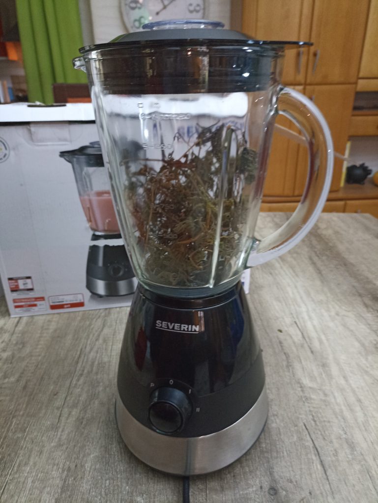 Severin SM 3718 Standmixer, vor dem Zerkleiner von getrockneter Brennnessel