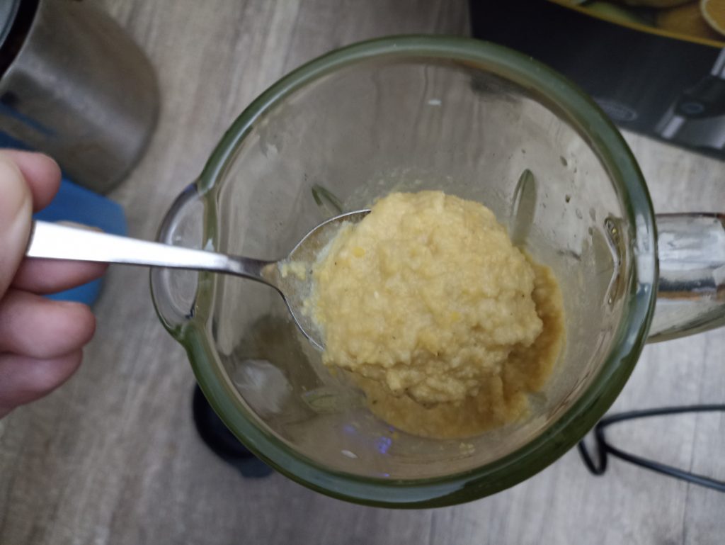 Steinborg SB-7030 Standmixer, körniger Hummus als Ergebnis
