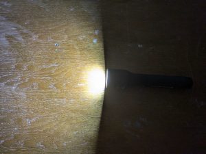 Strahl der Ledlenser P9R Core LEP Taschenlampe, breit