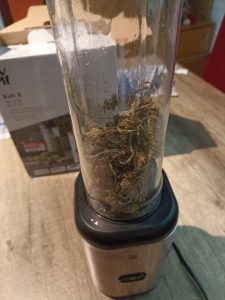 WMF Kult Mix & Go Standmixer, getrocknete Brennesseln im Behälter