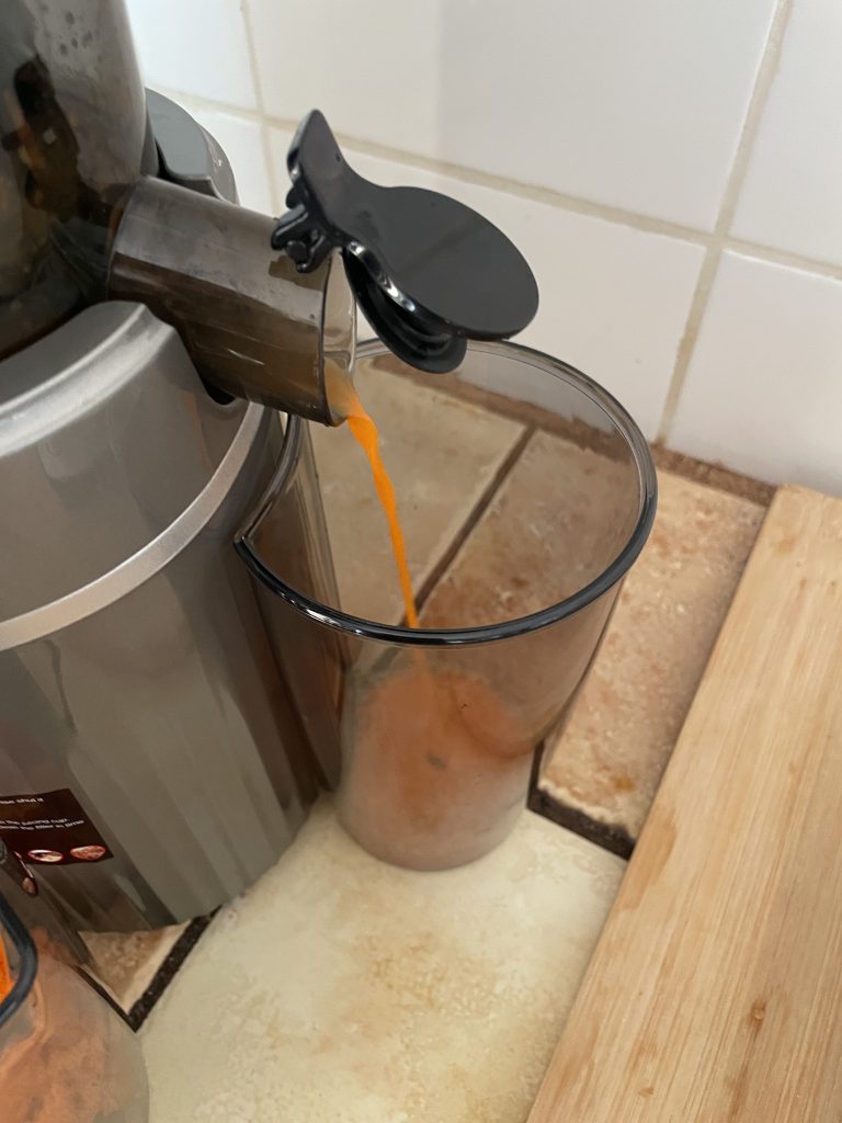 AOBOSI SJ-022 Slow-Juicer Saftauslass