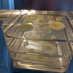 Arendo-Dörrautomat Beleuchtung