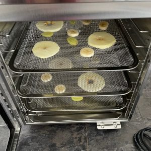 Arendo-Dörrautomat vor dem Test