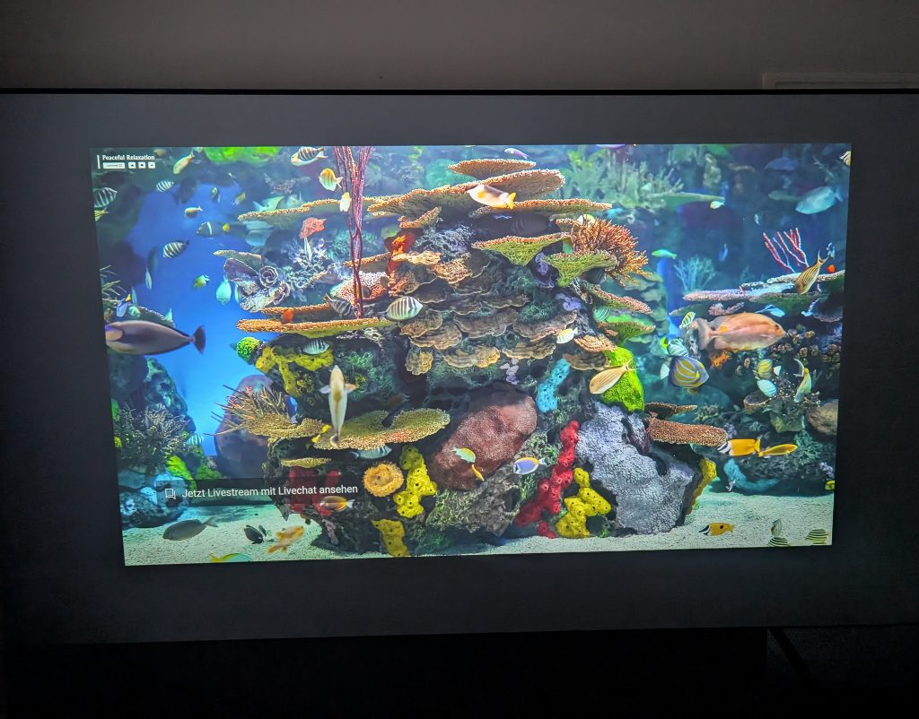 BenQ X300G Beamer Test