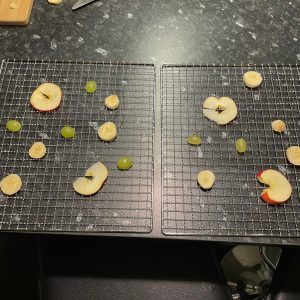 Consori Dörrautomat Vorbereitung