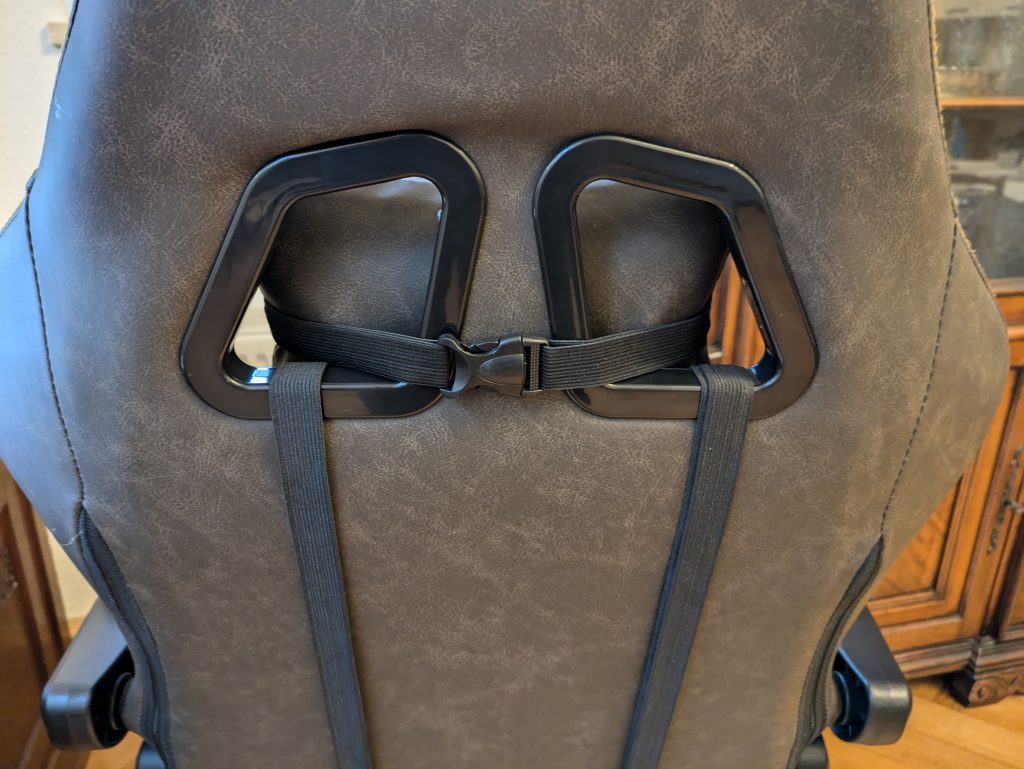 Dowinx LS 6689 Gaming-Stuhl von hinten