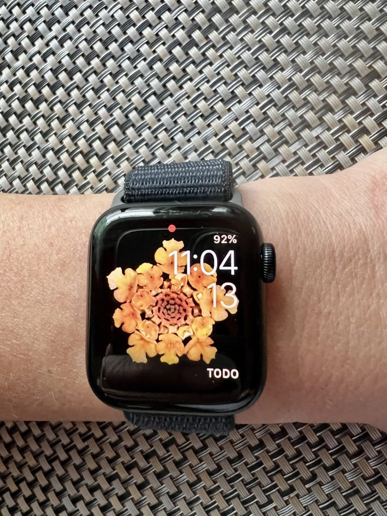 Apple Watch SE am Handgelenk