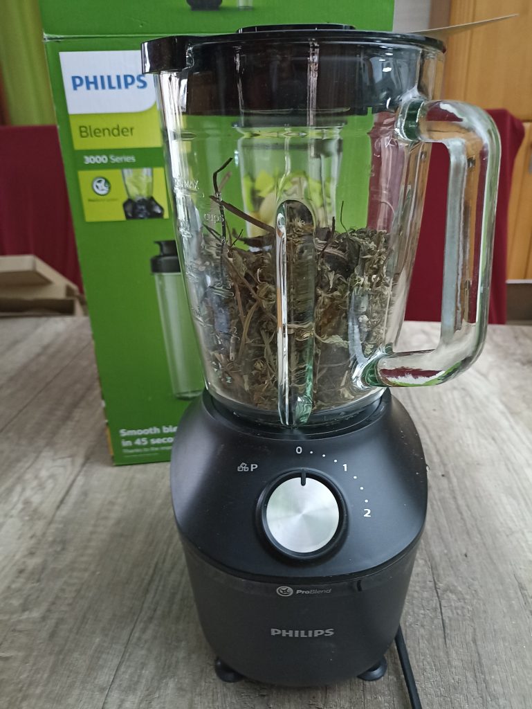 Philips 3000 Series HR229141 Standmixer, vor dem Zerkleinern von Brennnesseln