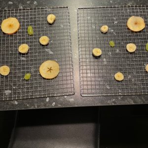 ProfiCook® PC-DR 1218 Dörrautomat Vorbereitung