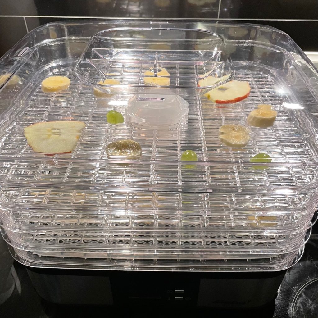 Steba ED5 Dörrautomat im Test