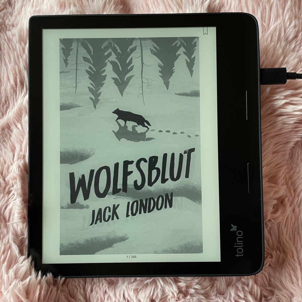 Tolino Epos 3 eBook-Reader Bildanzeige