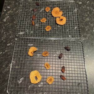 TurboWave BIO Dörrgerät Ergebnis