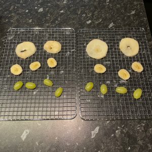 TurboWave BIO Dörrgerät Vorbereitung