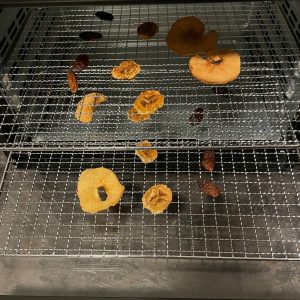 TurboWave BIO Dörrgerät fertig