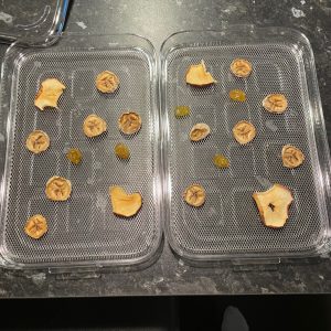 WMF Küchenminis Dörrautomat Ergebnis