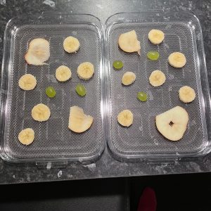 WMF Küchenminis Dörrautomat Vorbereitung