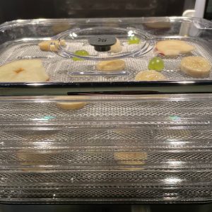 WMF Küchenminis Dörrautomat im Test