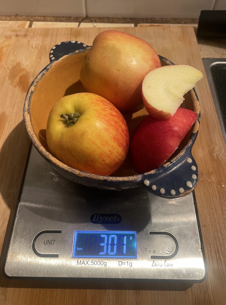 nutribullet NBJ500 Slow-Juicer Äpfel für Apfeltest