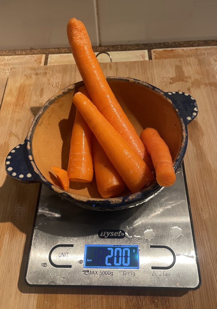 nutribullet NBJ500 Slow-Juicer Vorbereitung Möhrentest
