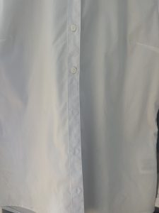 Rowenta Eco Steam Pro DG9610 Dampfbügelstation Bluse nach dem Vertikalbügeln