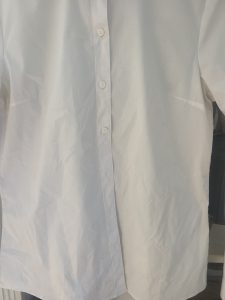 Rowenta Eco Steam Pro DG9610 Dampfbügelstation Bluse vor dem Vertikalbügeln