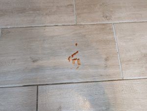 Uwant D100 Saugwischer Ketchupflecken