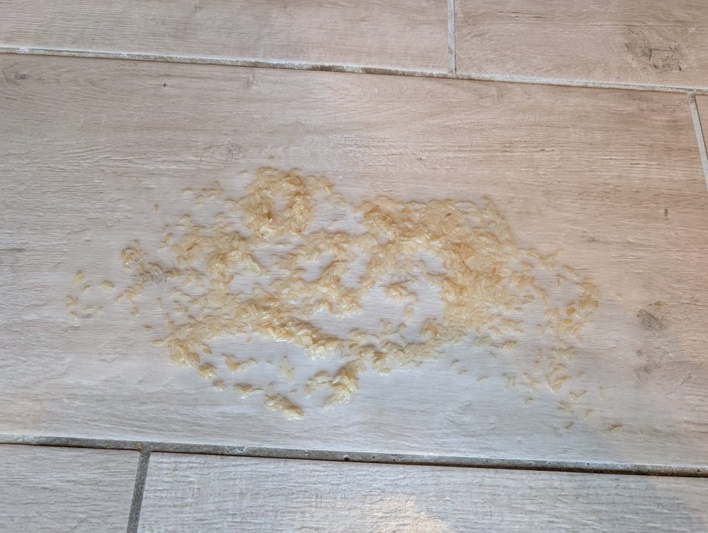Uwant D100 Saugwischer Reis und Wasser auf dem Boden