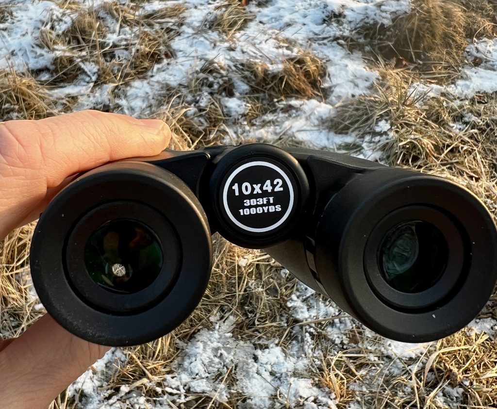 BEBANG 10x42 BH 1106 Fernglas im Einsatz