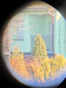 Kylietech 12x42 Fernglas Bild mit Smartphone-Adapter