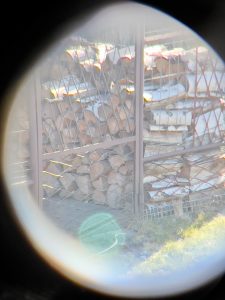 Kylietech 12x42 Fernglas Bild mit Smartphone-Adapter