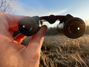 Leica Trinovid 10x25 BCA Fernglas im Einsatz