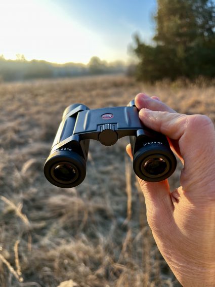Leica Trinovid 8×20 BCA Fernglas Im Einsatz
