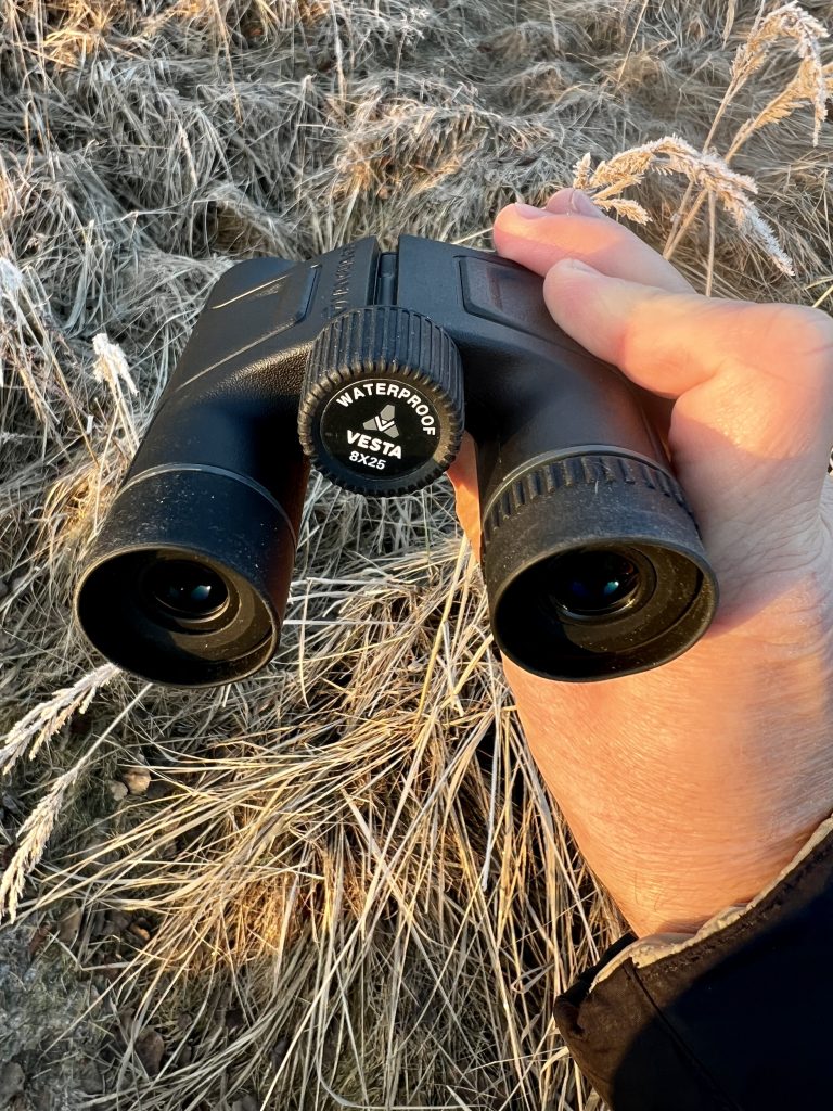 Vanguard Vesta 8250 Fernglas